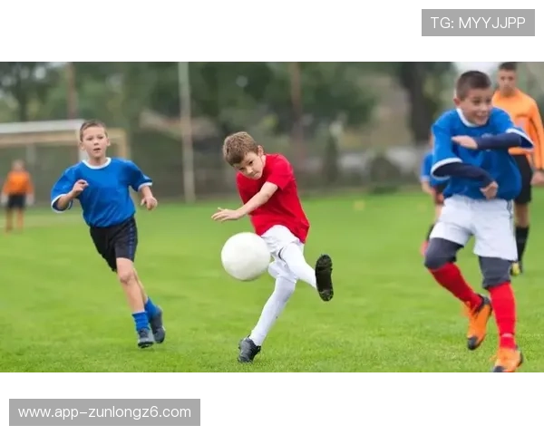 开云体育在线官网展示丰富的体育娱乐内容满足不同用户需求