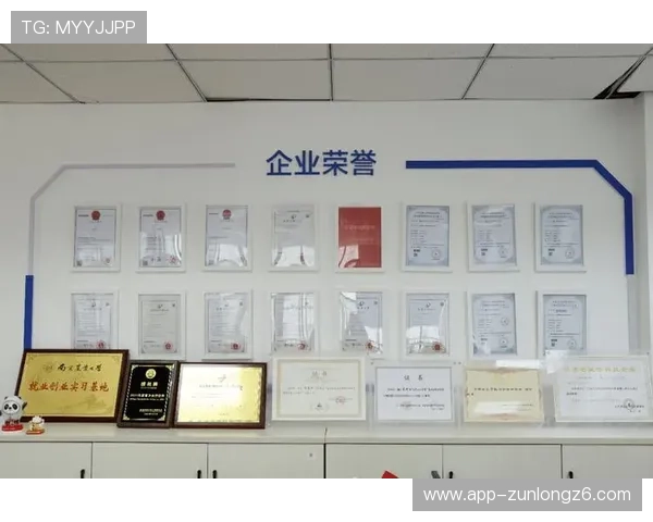 开云集团拥有的品牌体系及每个品牌的核心竞争优势 开云集团拥有的品牌体系及每个品牌的核心竞争优势