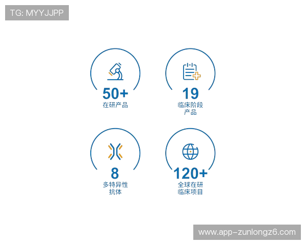 探索尊龙凯时官网登录平台的安全性及其优势特点