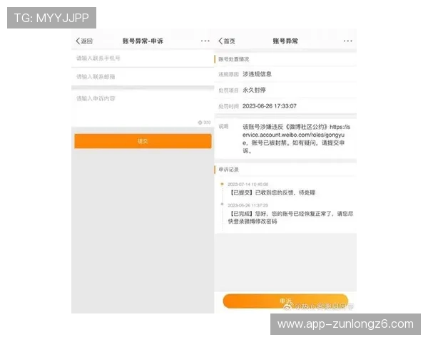 尊龙集团官网登录遇到账号被封的原因及申诉流程